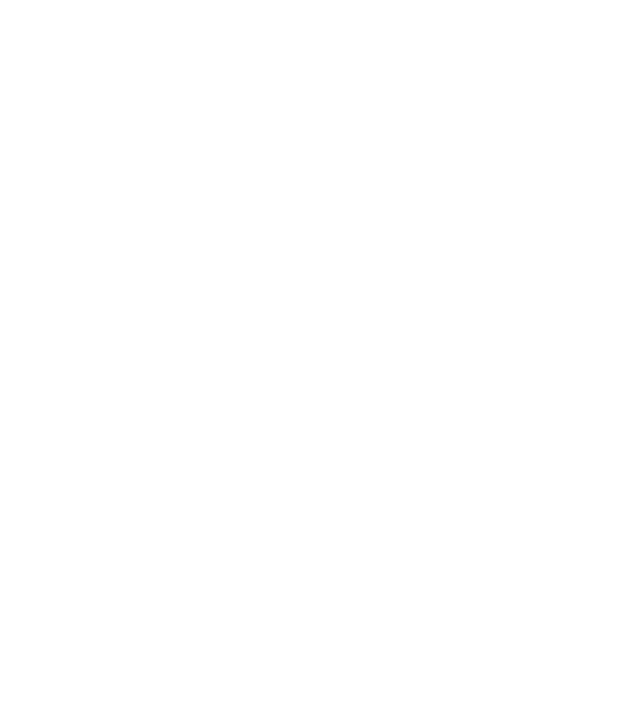 Oficial Selection Toronto Film Festival